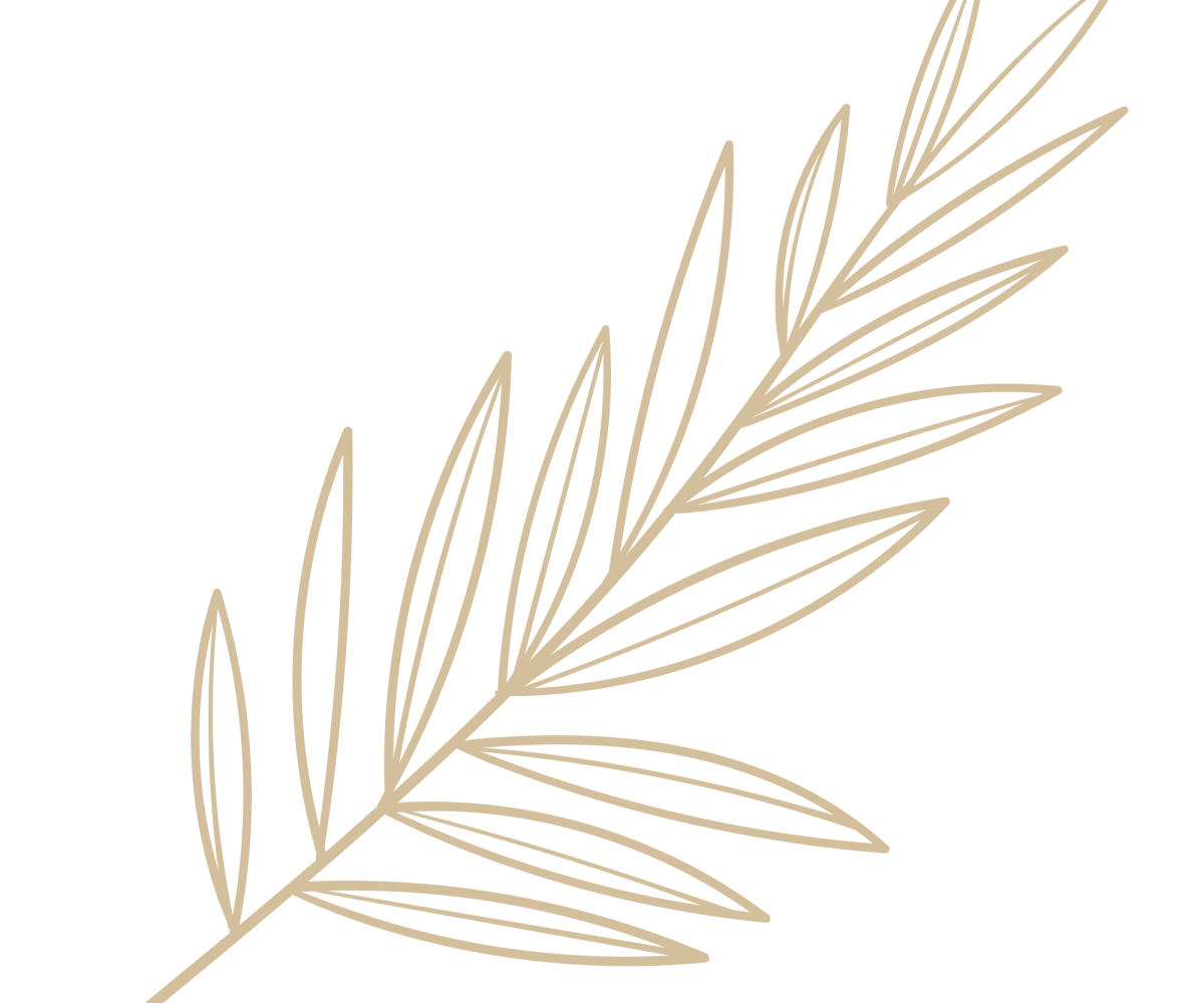 ornament_5.png